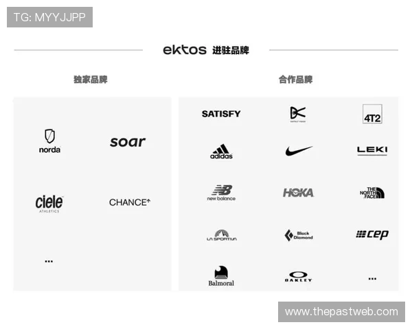 乐天娱乐标志在不同媒介中的应用与优化策略，确保品牌形象的一致性与传播效果