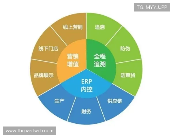 乐天堂app在国际市场拓展取得突破，品牌影响力持续提升