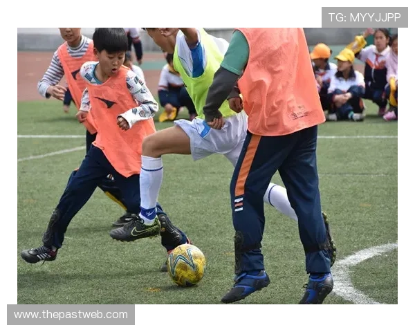 博盈足球网站开展足球文化推广活动促进体育精神传承